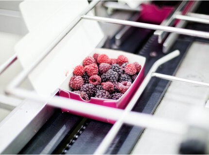 Einsatz von iwis-Ketten in der Verpackung von Lebensmittel | © @vladimir_n, iStock