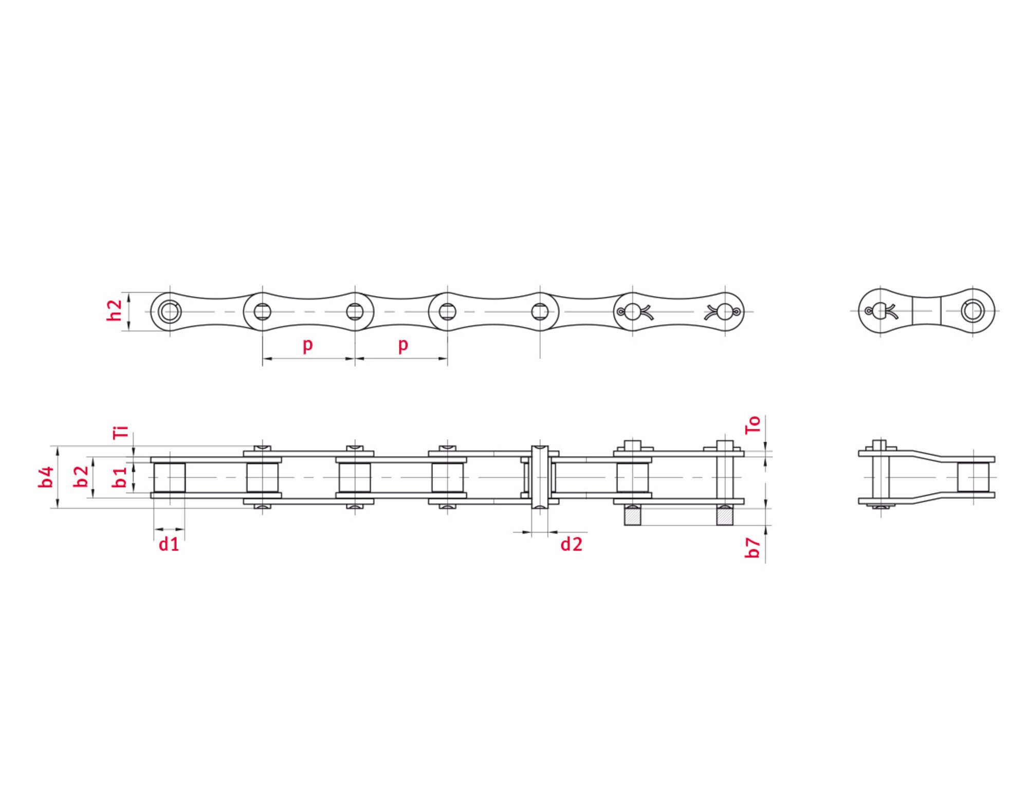 Double pitch roller chain 208B-1 - ELITE