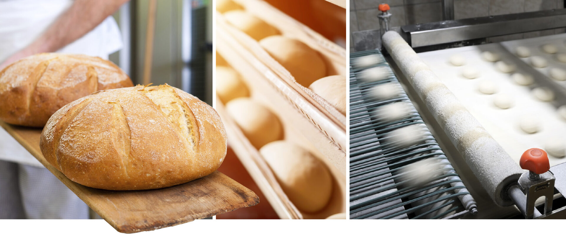frisch gebackenes Brot, Teig auf Produktionsband